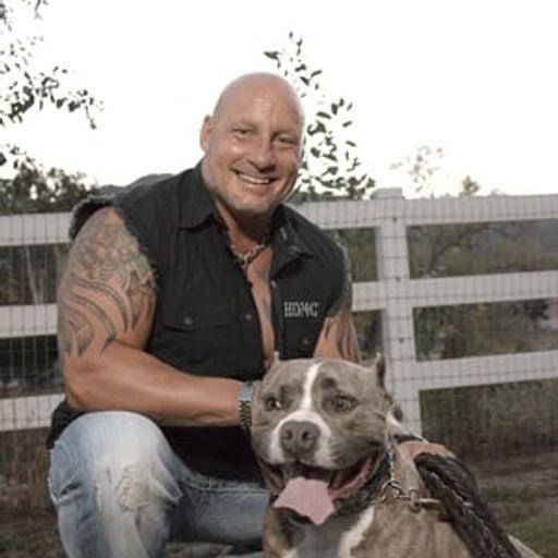 Dave Daley - The Monster Motivator