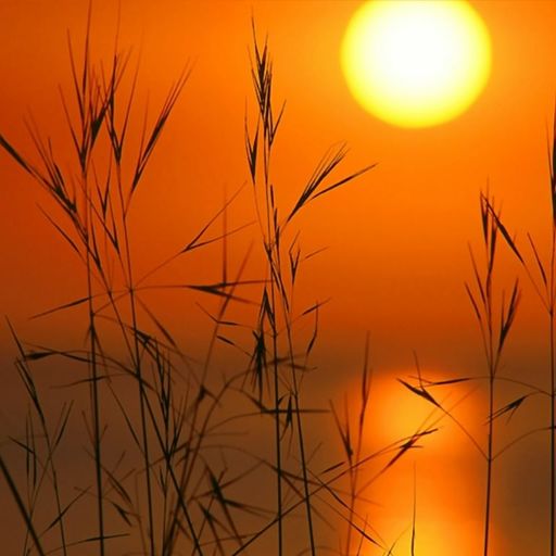 Quietmusic - Complete Three-Hour Program - August 10