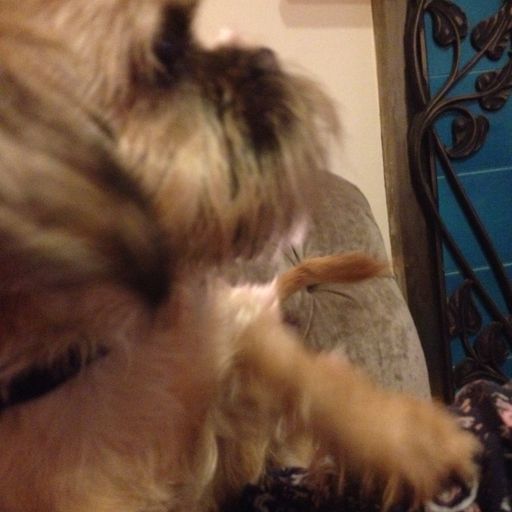 here we go.................