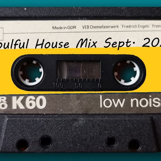 Soulful House Mix September 2021 by DiscoInjection