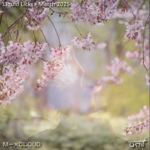 Liquid Licks - March 2025