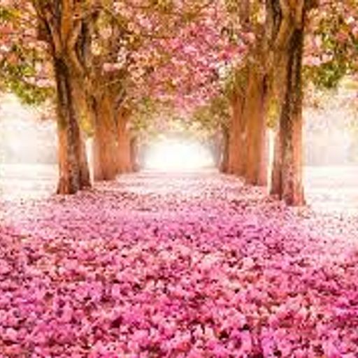 Spring Again