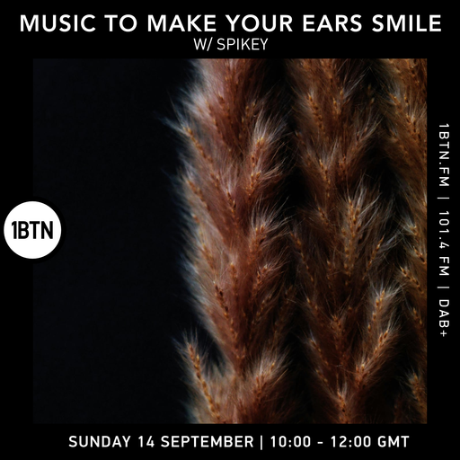 Music To Make Your Ears Smile w Spikey Kingston - 14.09.25