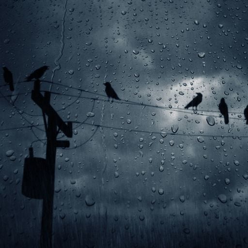 Gistro FM 789 (10/10/21) Everyday is Rainy Sunday