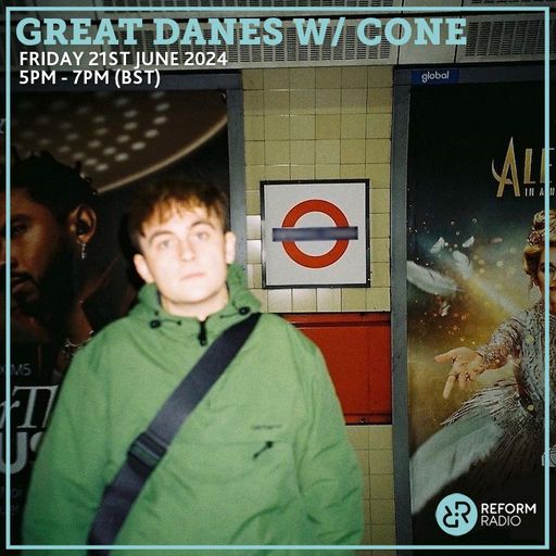 Great Danes w/ CONE 21st June 2024