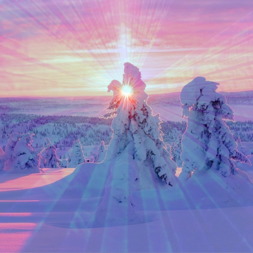 Paraíso Solar VIII 'Day' & 'Night' sets played live!