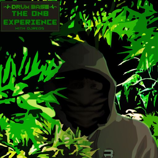 THE DNB EXPERIENCE 100218