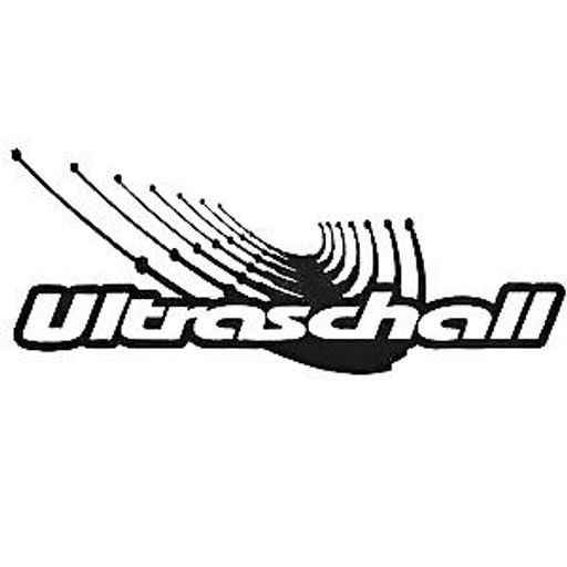 Electric Indigo at Ultraschall (München - Germany) - 26 February 2000