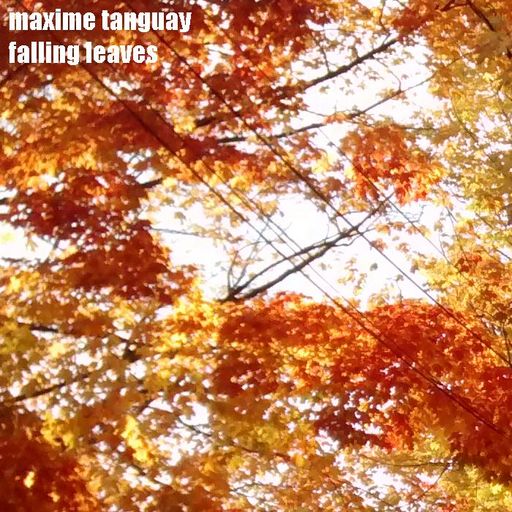 maxime tanguay - falling leaves
