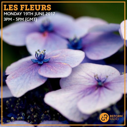 Les Fleurs 19th June 2017