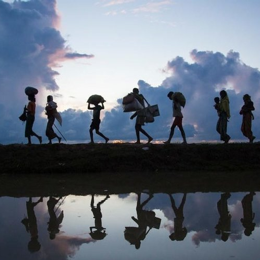 Migration (ExtendedJazzFusion)