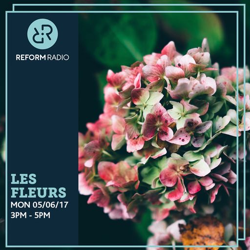 Les Fleurs 5th June 2017