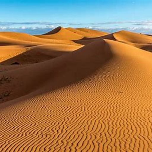 Trans Sahara (Fusion)