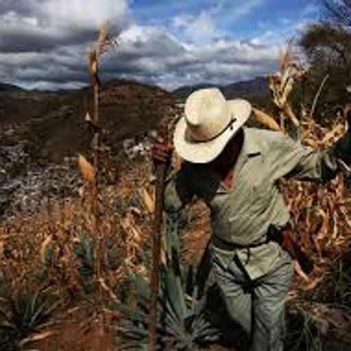 Cryptomnesia #19 Special Episode Featuring the Unique Sounds of Oaxaca, Mexico*** 09.02.2019