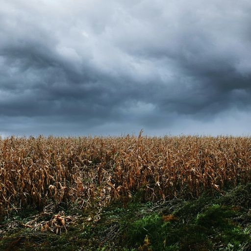 Naviar Broadcast #397 - Autumn Storm - 4 February 2026