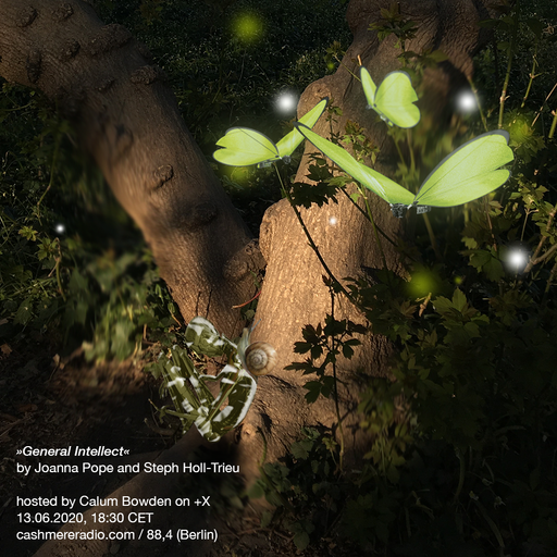 PlusX with Joanna Pope & Steph Holl-Trieu hosted by Calum Bowden 13.06.2020