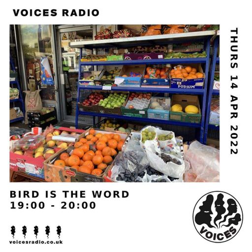 Bird is the Word w/ Tilly Bartelt - 14/04/22