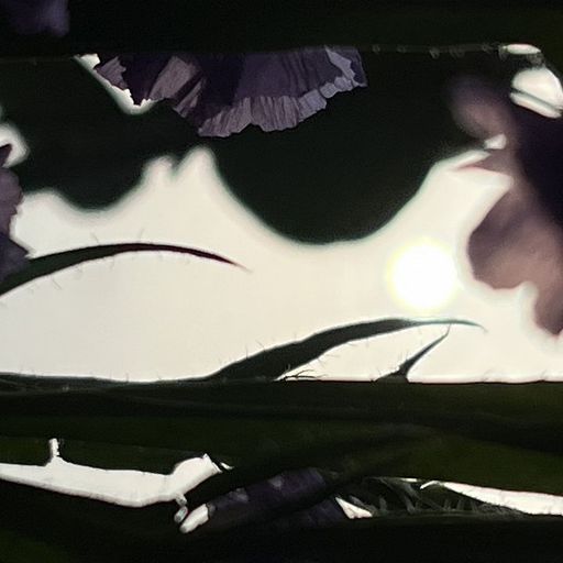 The Early Bird Show w/ Jack Rollo & Kaity Fox - 13th March 2026