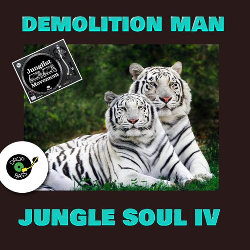 JUNGLE SOUL IV