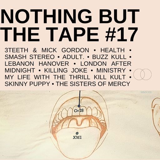 NOTHING BUT THE TAPE #17