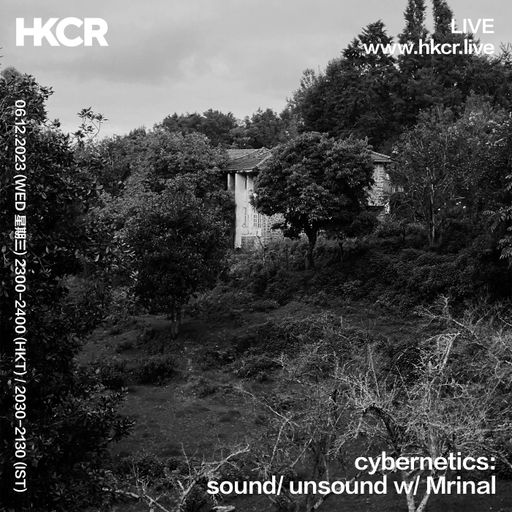 cybernetics sound unsound w/ Mrinal - 06/12/2023
