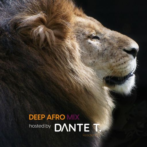 Dante T.	-	Deep Afro Mix