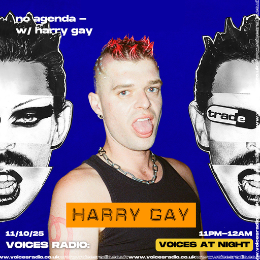 HARRY GAY NO AGENDA - 11/10/25 [Voices Radio]