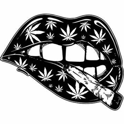 DJ Hedgehog - Shits On My Dong -  Friday 24th February 2023