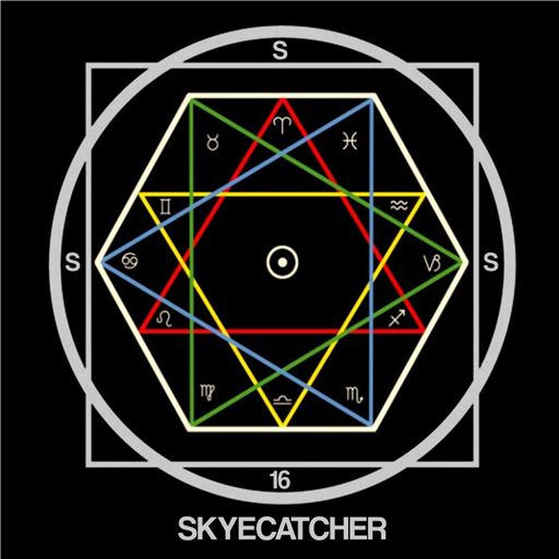 Secret Sun Society #16 SKYECATCHER