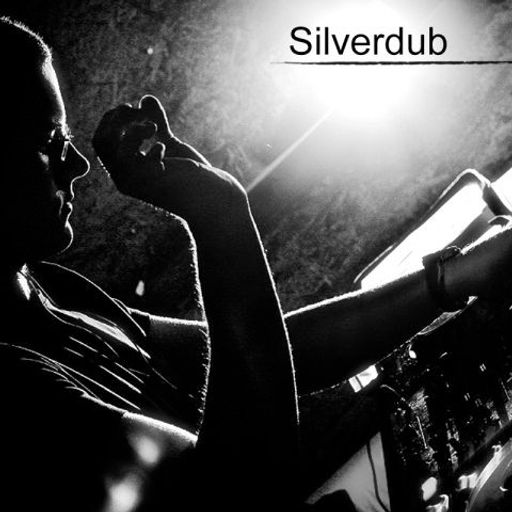 039 - MBR mixed by Silverdub (2011-12-10)