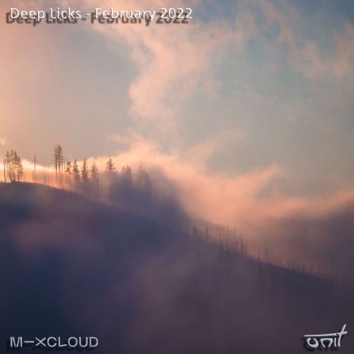 Deep Licks - February 2022