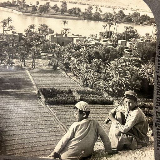 One step at a time w/ Leo - 29th December 2025