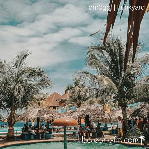 Funkyard (011) (phr0ggi)