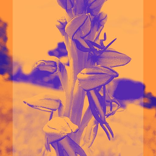 Random Wednesday set (1) (26/06/24)