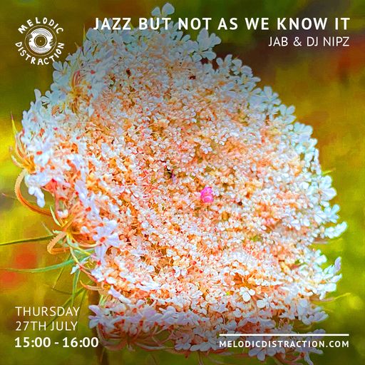 Jazz, But Not As We Know It with Jab & DJ Nipz (July '23)