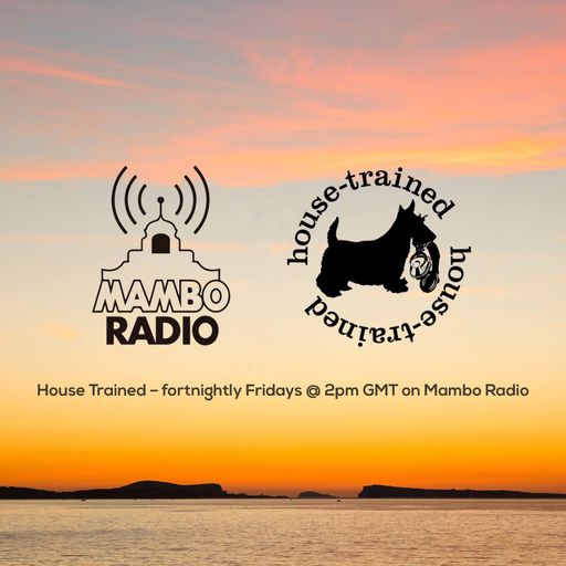 Café Mambo Radio - House Trained Show Episode 2 (12/04/19)