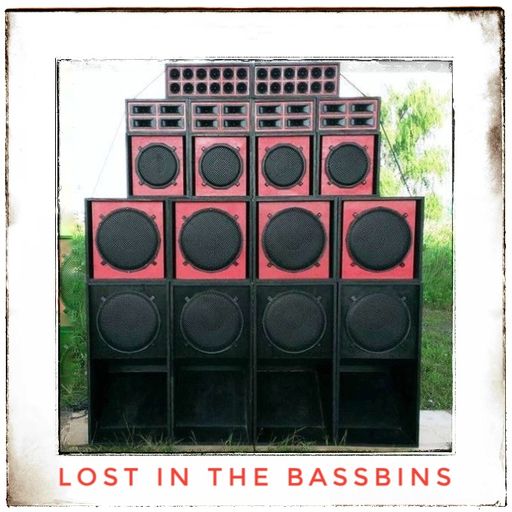 Lost in the Bassbins Nov19