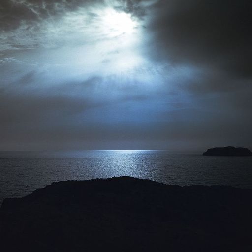 NATURAL HABITAT W/ TN.YON - 4th January 2026