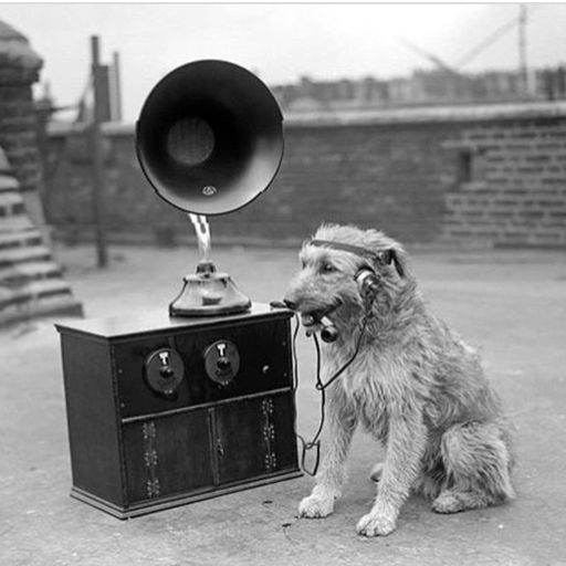 The Alphabet Show : Spoken Words