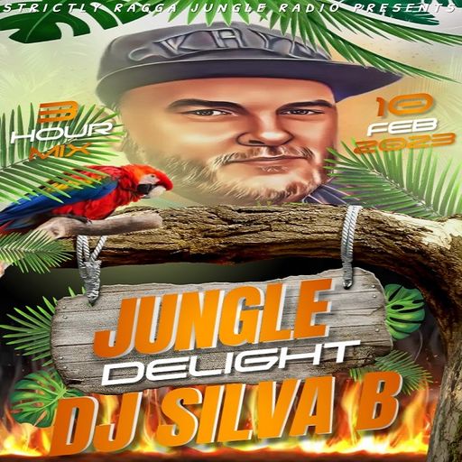 JUNGLE DELIGHT LIVE 3HR DJ SILVA B MIX @SRJR 10 FEB 2023