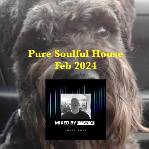 Pure Soulful House
