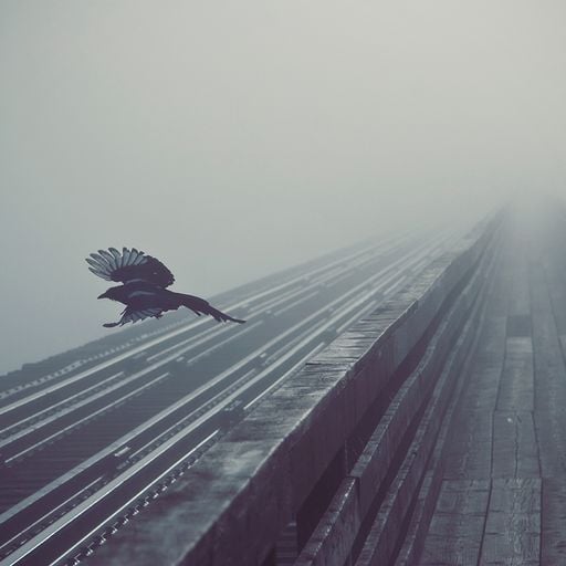 Musics of the World 02/06/19 (Mix)