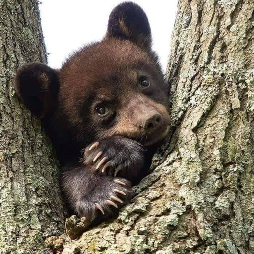 Steve Lewis Thank Funk it's Friday house Session 13th September 2024