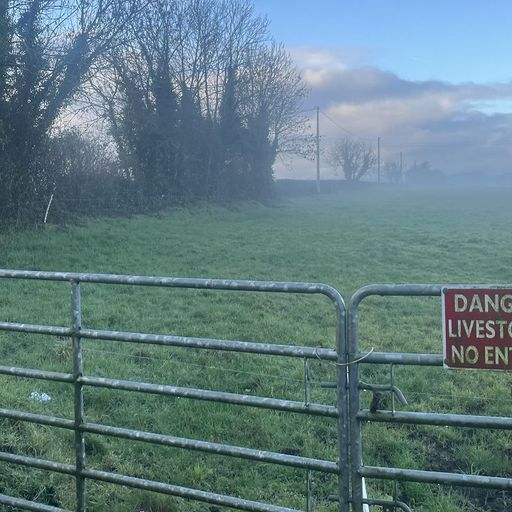 The Slip - 8th March 2026