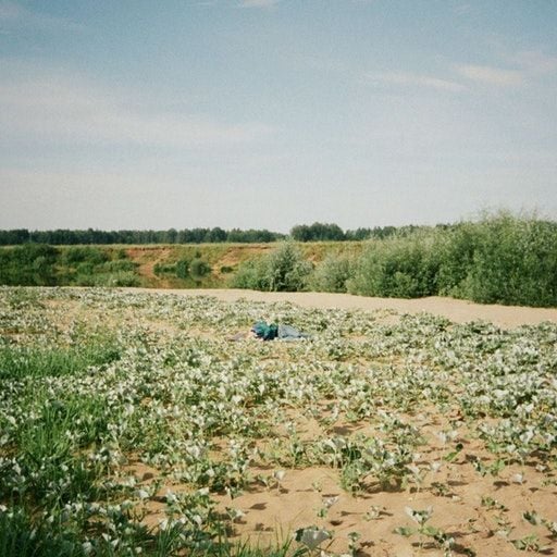 Choice Mix – Vtgnike