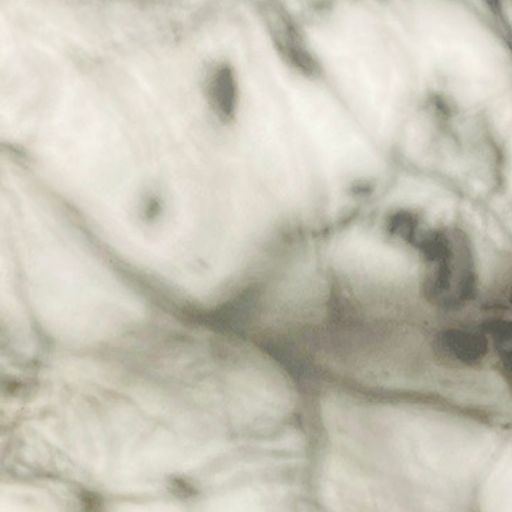 Dawn Chorus w/ Cameroni and Cat - 15/11/24 - Voices Radio