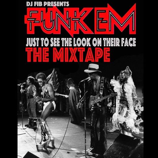 Funk Em Mixtape Pt 2 - DJ Fib Mix