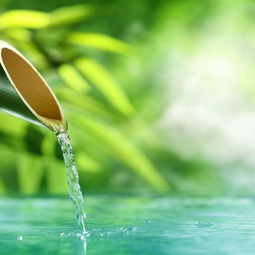 Back To Earth - Water Meditation