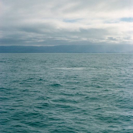 "At Thresholds": Moya Lawson on Caffeine & Aspirin - 08/10/2022