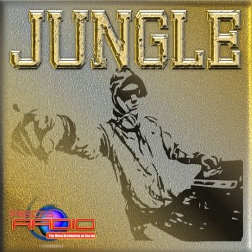 jungle-dnb 120415